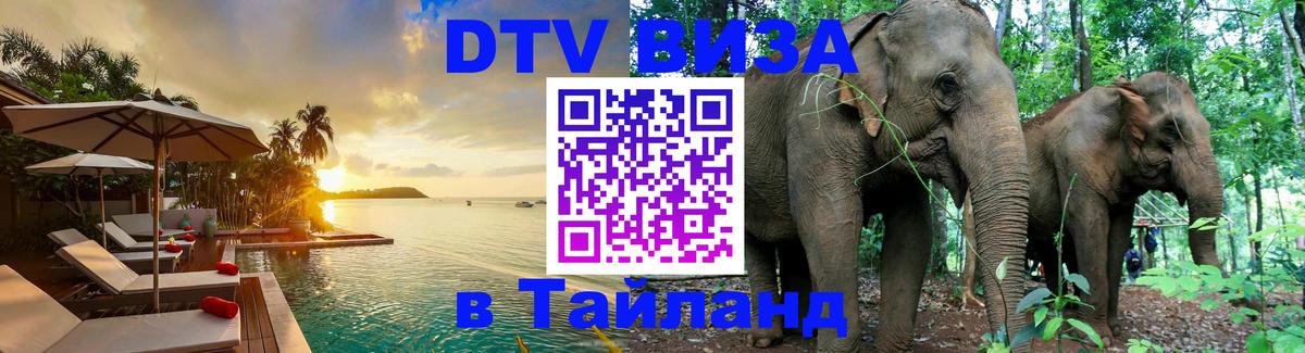 Оформление DTV визы под ключ: стоимость и тарифы, только загранпаспорт - Эль-Кувейт  18.11.2025 